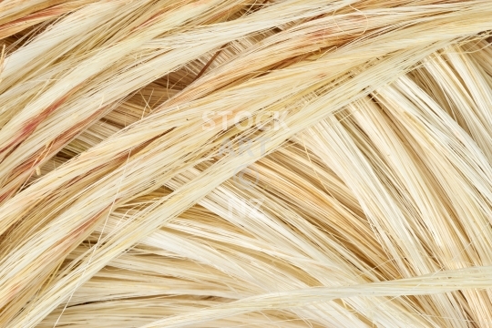 Closeup of white natural flax muka  - Muka fibre is a New Zealand flax weaving material 