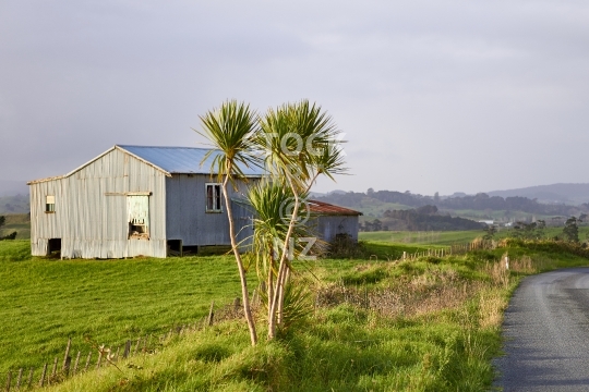 Corrugated iron farm shed and road in New Zealand