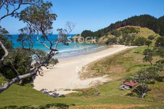 Grahams Bay - Whananaki Coast, Northland, NZ