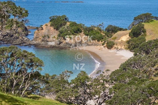 Hidden Whananaki beach - Motutara Recreation Reserve, Northland NZ