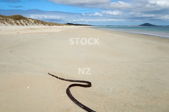 Karikari Beach - Far North, Northland, NZ