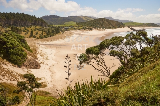 Ocean Beach at the Whangarei Heads, Northland, New Zealand - View of stunning Ocean Beach from a lookout - the wonderful Whangarei Heads surf beach on the Te Araroa Trail