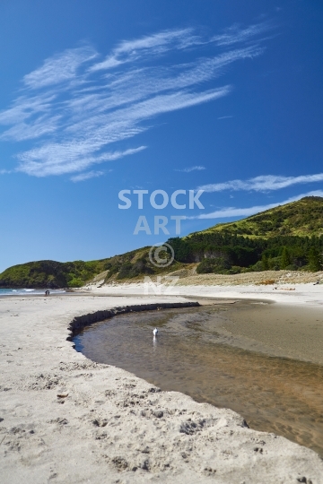 Ocean Beach with seagull - Whangarei Heads, Northland, NZ