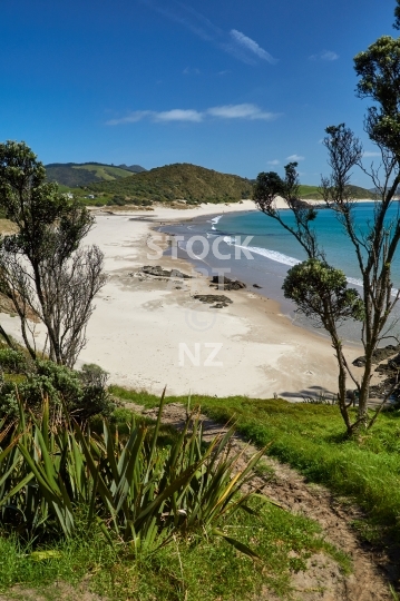Ocean Beach with white sand and blue sky, Whangarei Heads, Northland