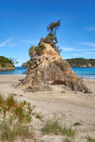 Rock formation on Matapouri Beach - Tutukaka Coast, Northland, NZ