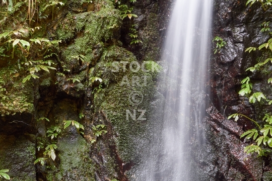 Ross Track waterfall - Whangarei, Northland, NZ