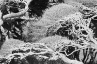 Mobile wallpapers - New Zealand themed backgrounds and lock screen wallpapers for high resolution HD phone and mobile displays<br>