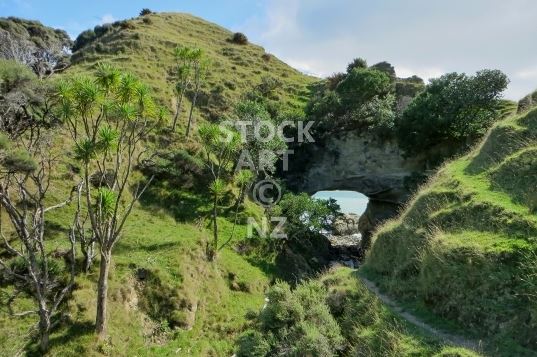 New Zealand landscapes - Arched rock at Cooks Cove, Tolaga Bay