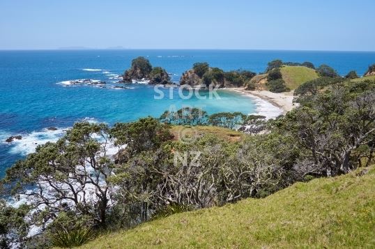 New Zealand landscapes - Motutara Beach, Whananaki