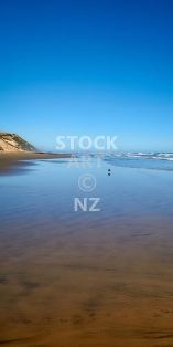 Endless blue sky New Zealand Beach - Northland - NZ phone background