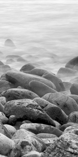 Nelson_qt_s Boulder Bank - NZ phone background