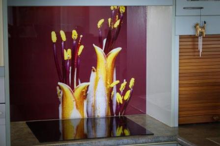 Splashback stock photos