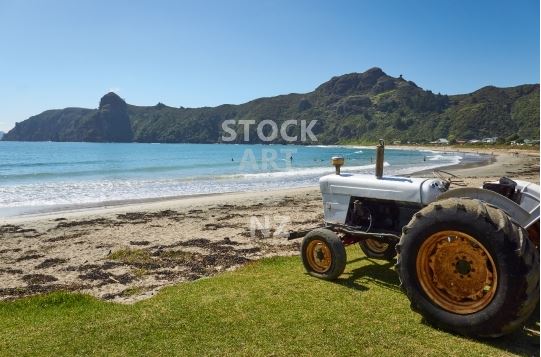 Taupo Bay - Northland stock photos
