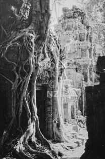 Ta Prohm temple Angkor: vintage stock photo