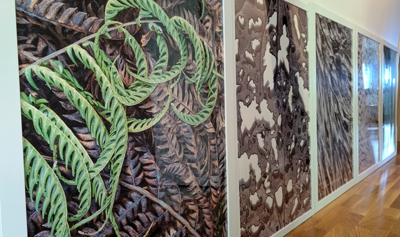 New Zealand wall art prints and posters