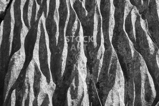 Abstract karst rock closeup - Black & white photo of fluted limestone rock near Waipu Cove, Northland, New Zealand
