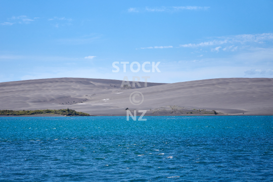 Aotea Harbour  - View of the black sand dunes from Maukutea Beach