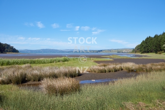 Aotea Harbour - Tussock grasses at low tide - Waikato, NZ