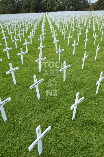 Armistice Centenary Field of Remembrance, Auckland Domain - 18,277 white crosses, one for every New Zealander who died in World War 1