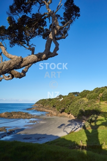 Bay south of Waipu Cove