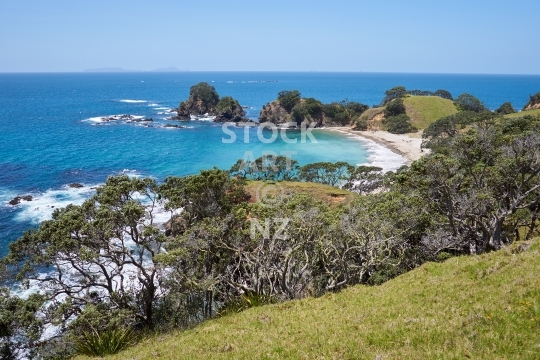 Beach in the Motutara Recreation Reserve, Whananaki