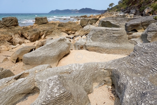 Beach with rock formations - Waipu Coastal Trail, Northland, NZ