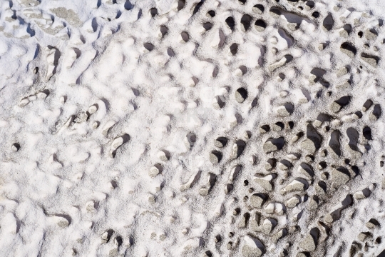 Beautiful beach stone pattern - Gorgeous closeup of the pattern on a rock in Mangawhai, New Zealand