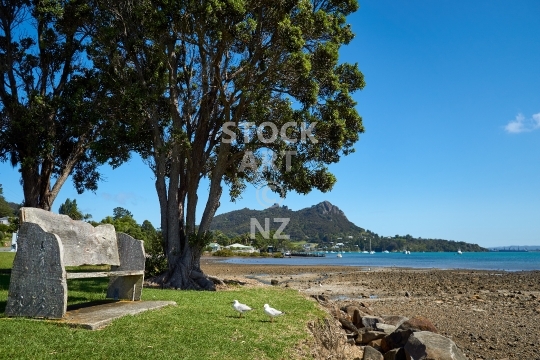 Bench in McLeod Bay - Whangarei Heads, Northland, New Zealand