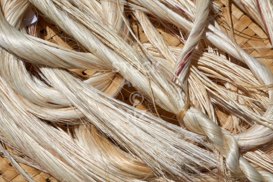 Bundles of muka - Shiny white flax fibres are a gorgeous weaving resource for the finest works of art