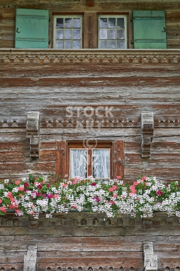Closeup of a wooden Swiss chalet - Flowers, windows and facade of a Simmental farm house in the Bernese Oberland, Switzerland