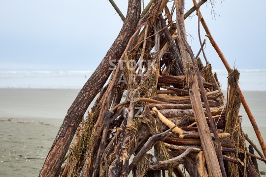 Closeup of beach art on Tahunanui Beach - Nelson, New Zealand - Sculpture made of driftwood in the artistic centre of the South Island