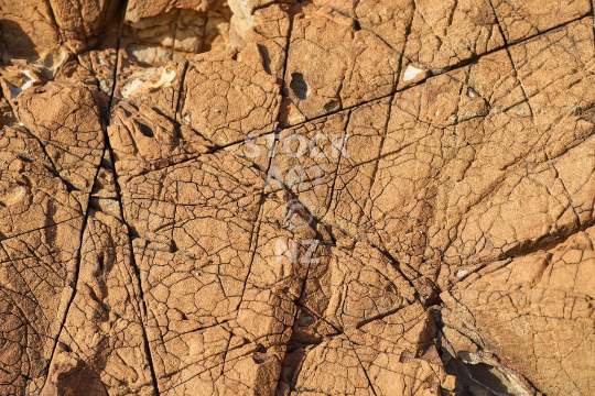 Closeup of rock in Whangaumu Bay, Tutukaka Coast, Northland, NZ - Beautiful stone formations on the beach