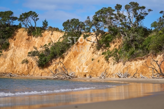 Closeup of Taiharuru beach in Northland NZ