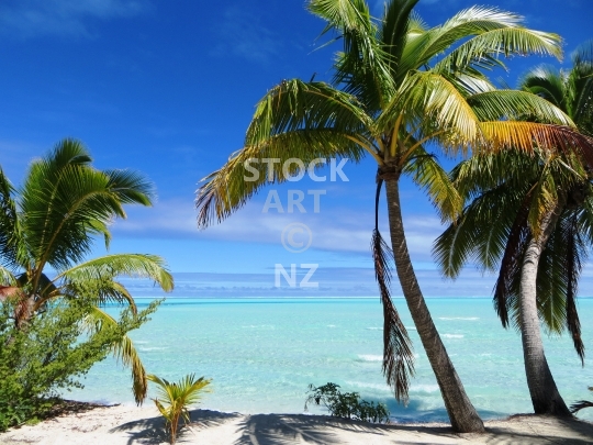 Coconut palm beach in Aitutaki lagoon - Tropical bliss in the Cook Islands - lower resolution stock photo