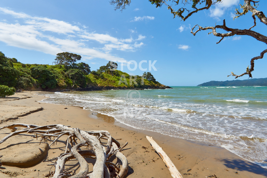 Coopers Beach in Northland NZ