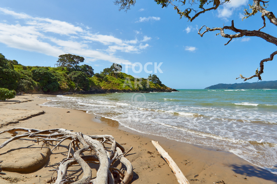 Coopers Beach in Northland NZ - Golden sand, driftwood and headland at the northern end of the beach, near the Taumarumaru Scenic Reserve walk