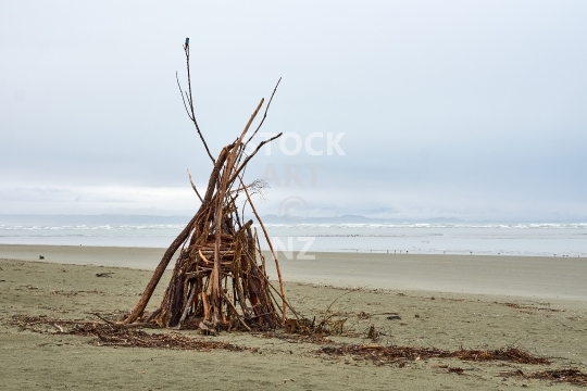 Driftwood on Tahunanui Beach in Nelson NZ - Wooden beach sculpture, sand and water