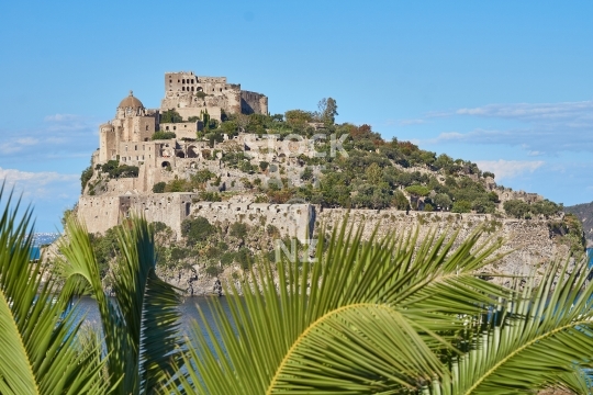 Exotic palm leaves and the medieval Aragonese Castle - Castello Aragonese in Ischia, Bay of Naples, Italy