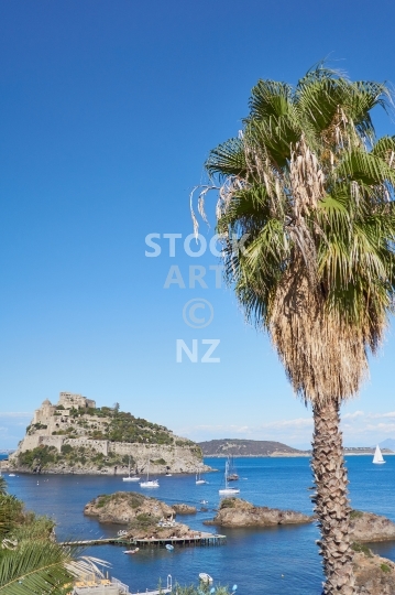 Exotic palm tree and Aragonese Castle - Ischia Ponte, Italia - The famous Castello Aragonese, main sightseeing spot on the island of Ischia