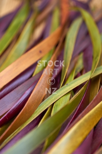 Flax blades after preparation