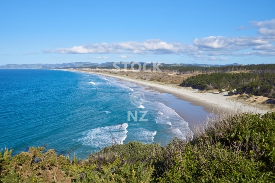 Forestry Beach - Auckland, NZ