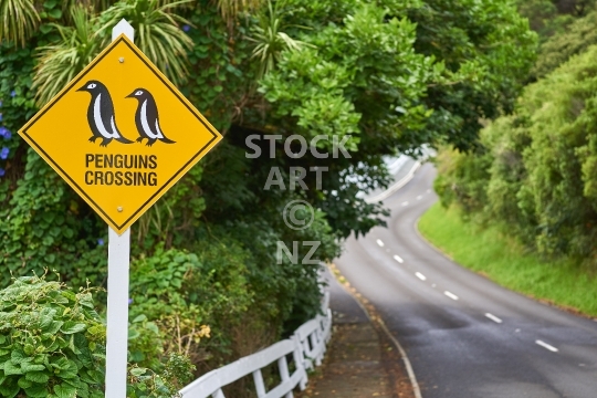 Funny _qt_Penguins Crossing_qt_ sign in New Zealand