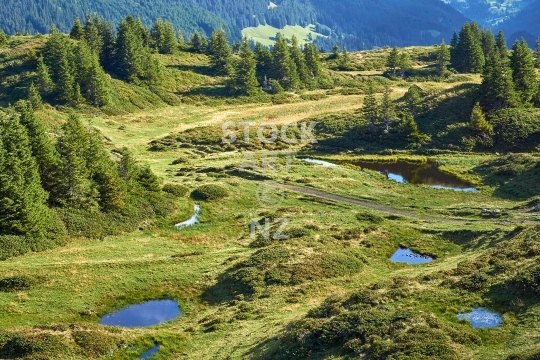 Grosse Scheidegg Pass, Bernese Oberland region, Switzerland - Alpine wetland lakes in the Swiss mountains