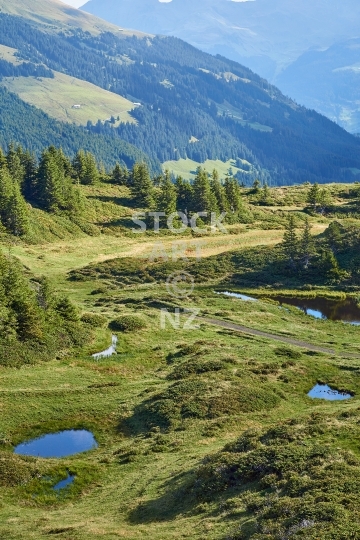 Grosse Scheidegg Pass landscape - Bernese Oberland region, Switzerland - Clean and pure wetland lakes in the Swiss mountains