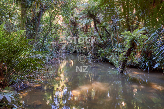 Hatea River in Whangarei NZ