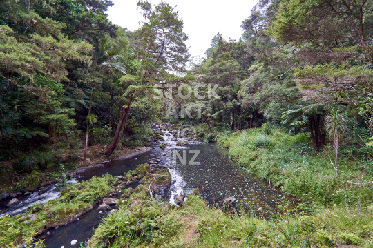 Hatea River walkway - Whangarei, Northland, NZ - Along the walking track below Mount Parihaka 