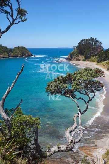 Hidden Whananaki beach between Otamure Bay and Andesite Point - Northland, NZ