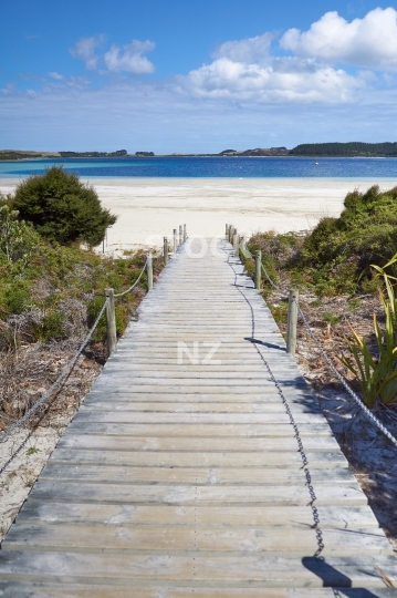 Kai Iwi lake beach access - Northland, New Zealand 
