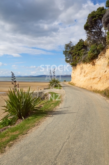 Kaipara Harbour at Kellys Bay - Pouto Peninsula, Northland, NZ