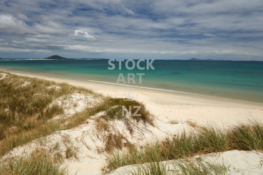 Karikari Beach dunes in the Far North 